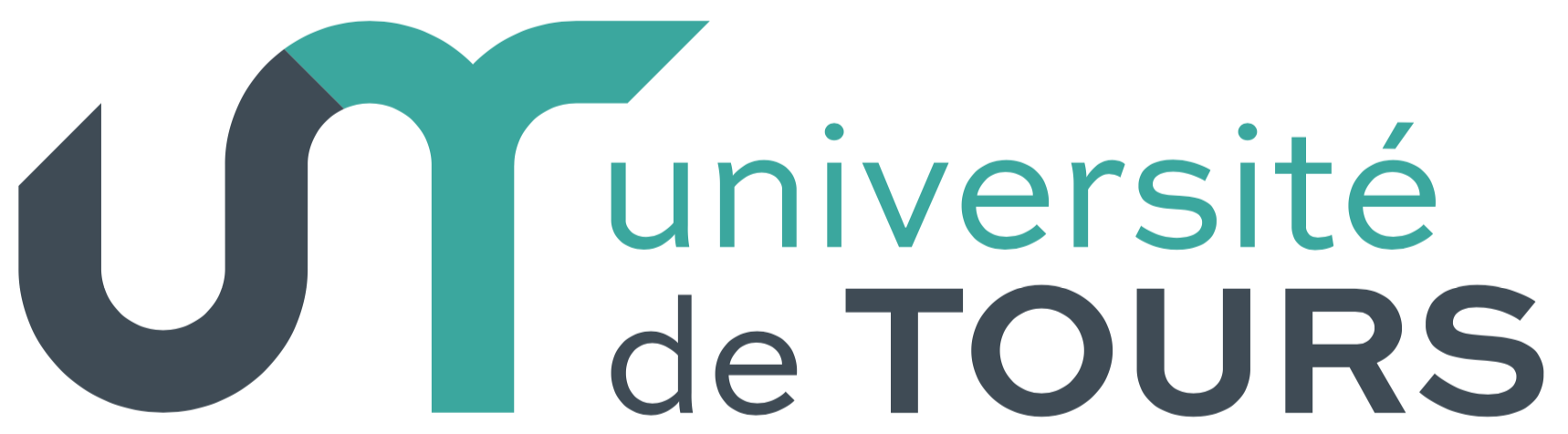 université de Tours mavivh